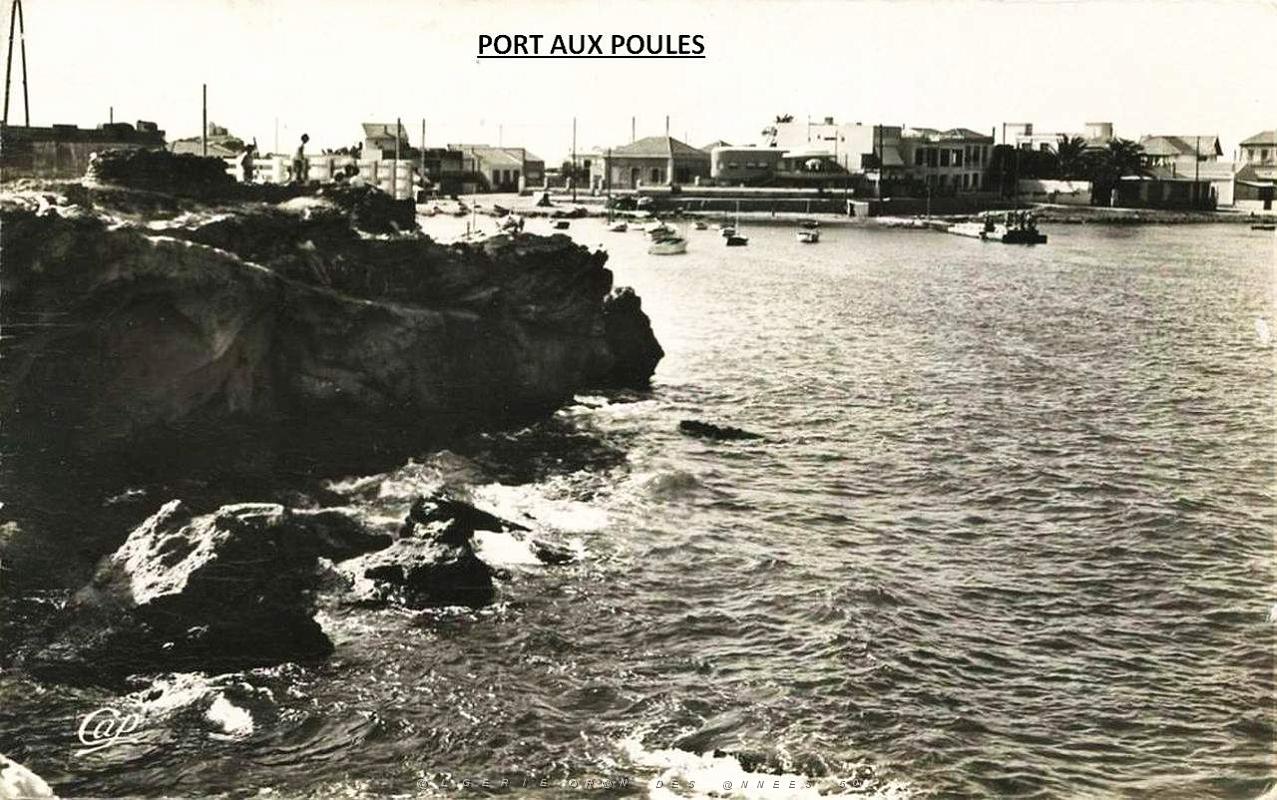 Port aux poules 105.jpg